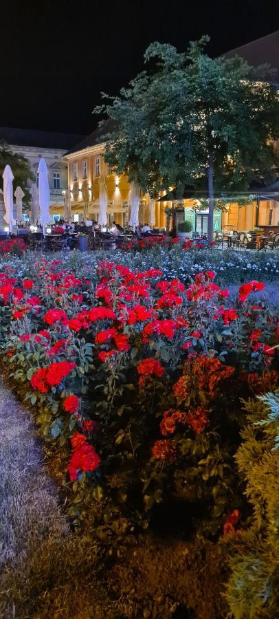 Ales Apartman Sombor Luaran gambar